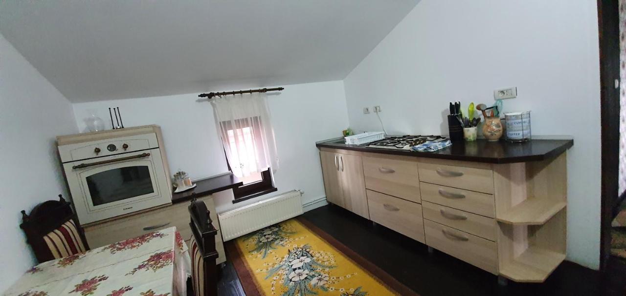 Guest house Pensiunea Orhideea 3*