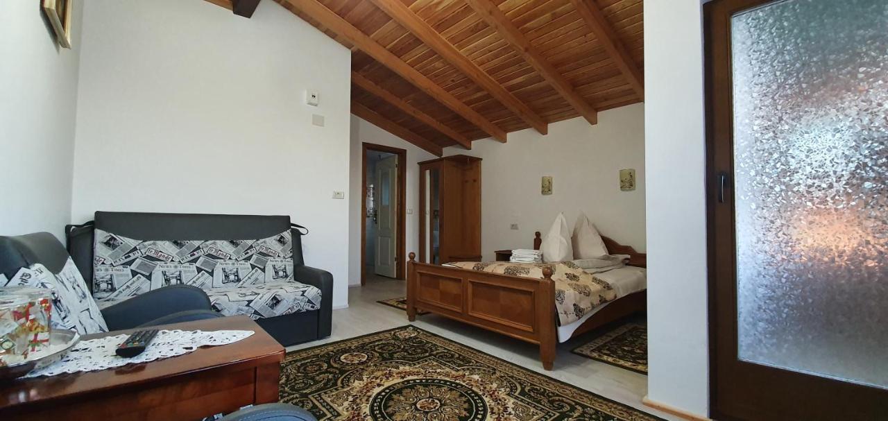 Pensiunea Orhideea Guest house